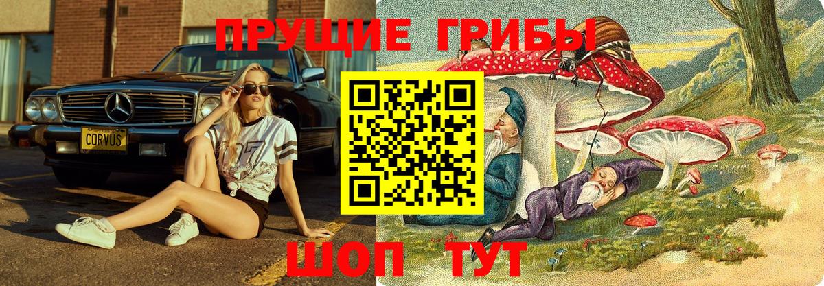 Псилоцибиновые грибы мухоморы Вичуга
